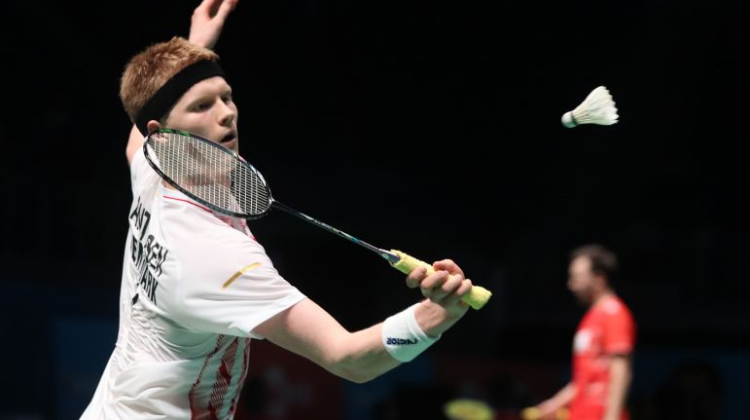 独特见解 独特见解